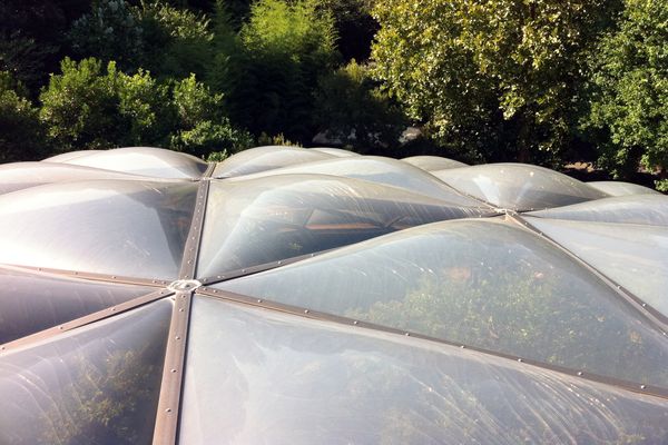 Sonora Desert Dome