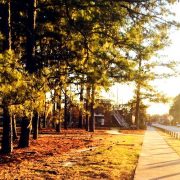 UNCW Boseman Field