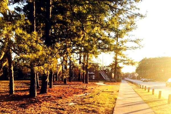 UNCW Boseman Field