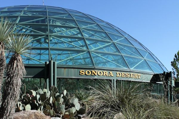 Sonora Desert Dome