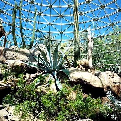 Sonora Desert Dome