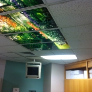 DUMC Morris Oncology