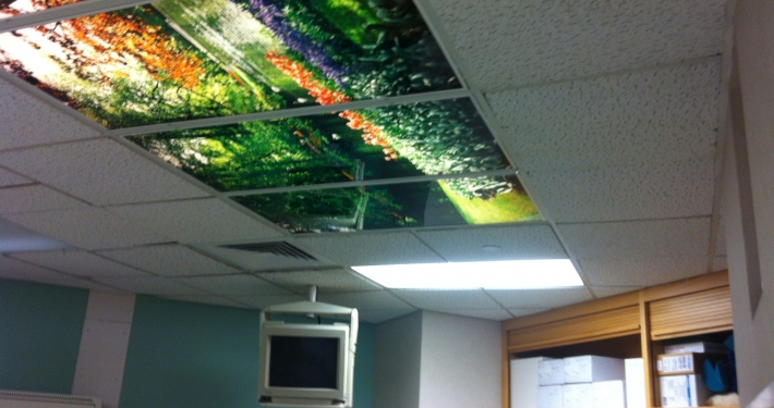 DUMC Morris Oncology